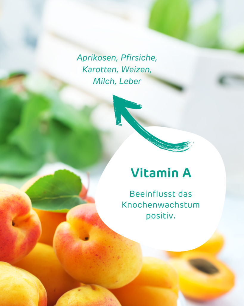 Aprikosen
Beschreibung was Vitamin A macht